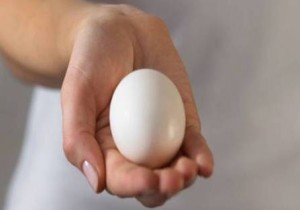 Egg donation centre in hyderabad